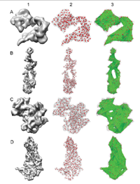 IDSS: deformation invariant signatures for molecular shape comparison
