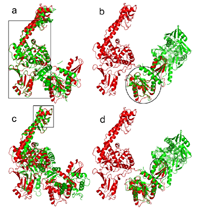 Using least median of squares for structural superposition of flexible proteins
